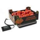 580301 | Large digital scale