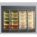 TC | Glass door freezer chamber