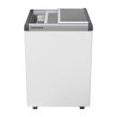 EFE 1500 | LIEBHERR Chest freezer