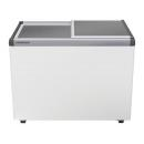 EFE 3000 | LIEBHERR Chest freezer
