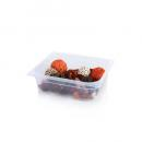 GN container 1/2 - 100 mm, Polipropilene - 6 Lts