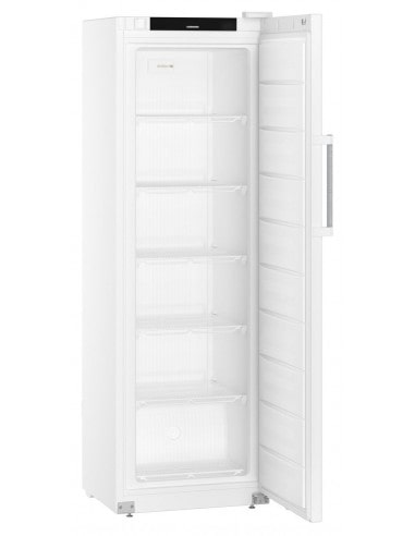 FFFsg 4001 | LIEBHERR Performance Freezer cabinet